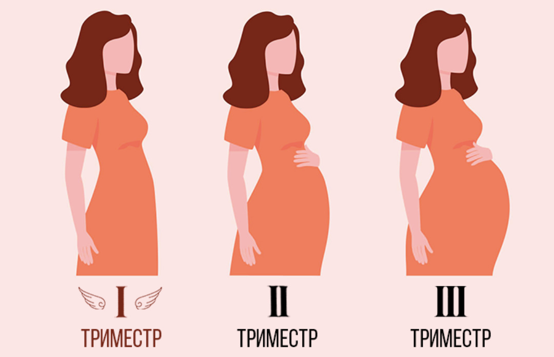 Беременность по неделям: полный справочник для будущих мам - 2